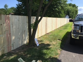 Privacy Fence