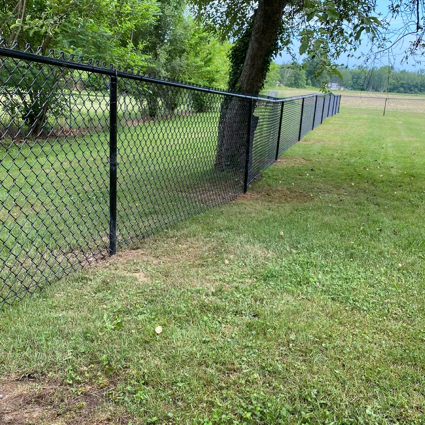 Chain Link – A&B Fencing